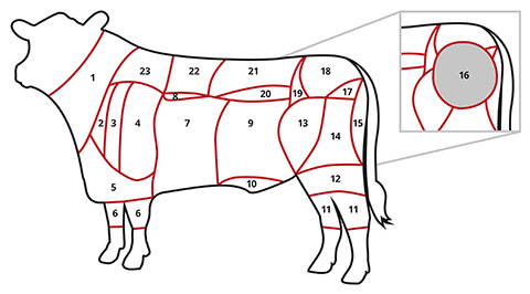 Fleischkunde Deutsch Angus Rindfleisch